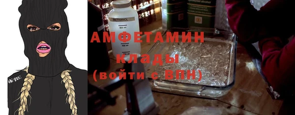 прущие грибы Балабаново