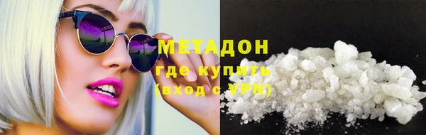 прущие грибы Балабаново