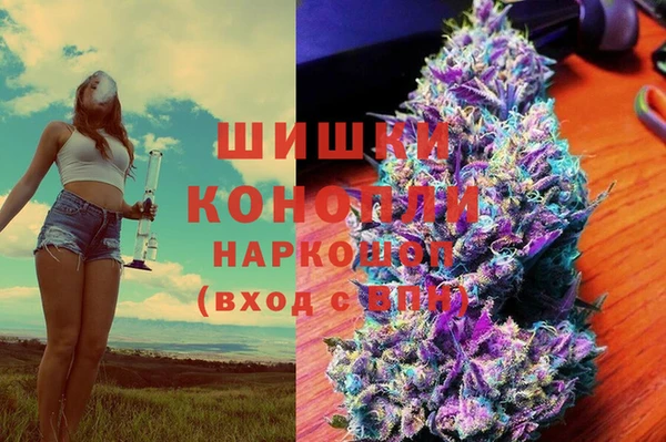 прущие грибы Балабаново
