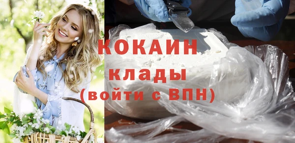 прущие грибы Балабаново