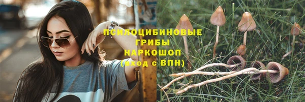 каннабис Сосновка